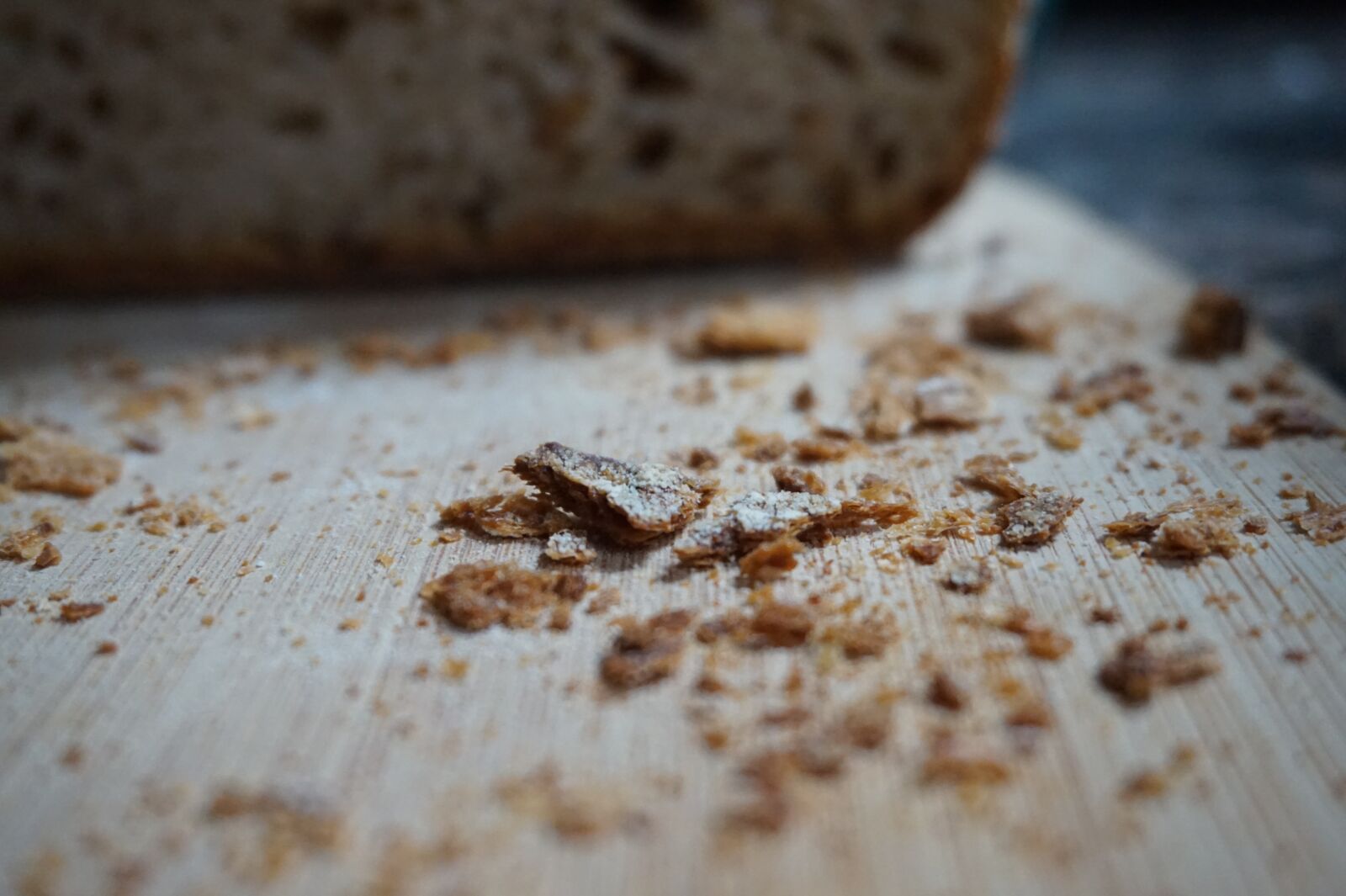 Sony Alpha a5000 (ILCE 5000) sample photo. Food, bread, crumbs photography