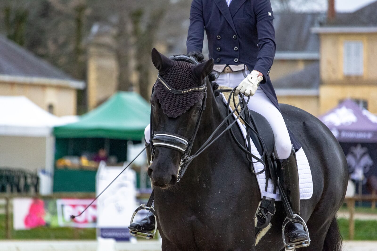 Canon EF-S 55-250mm F4-5.6 IS STM sample photo. Horse, horses, dressage photography