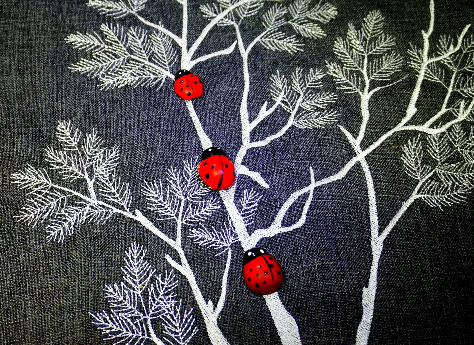 Sony a6000 sample photo. Ladybugs, decoration, texture photography