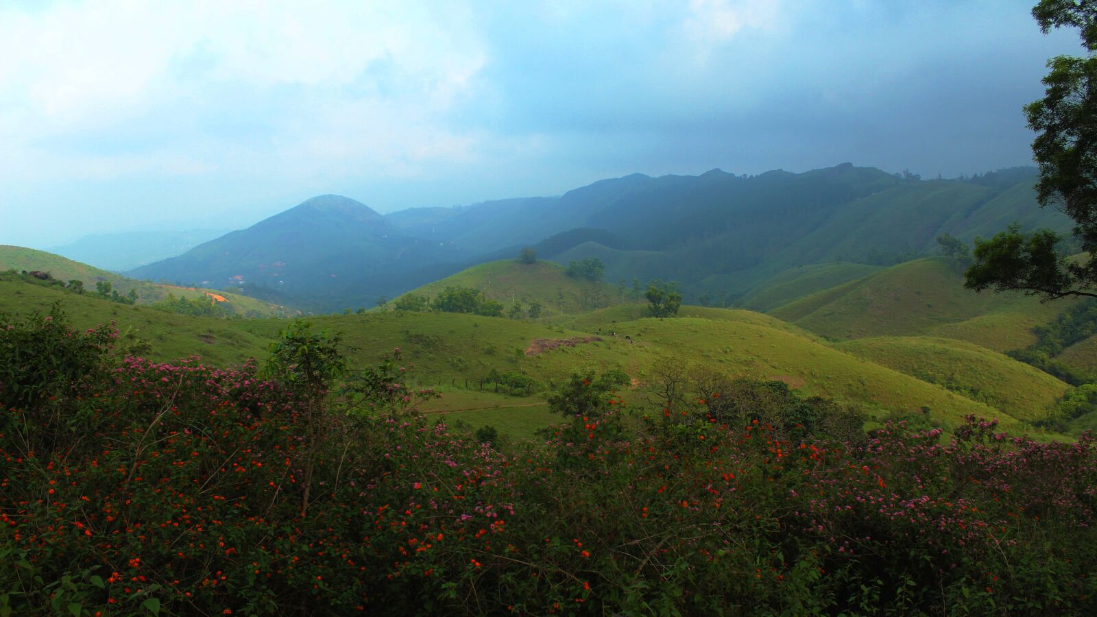 Canon EOS 1300D (EOS Rebel T6 / EOS Kiss X80) sample photo. Vagamon, kerala, india photography