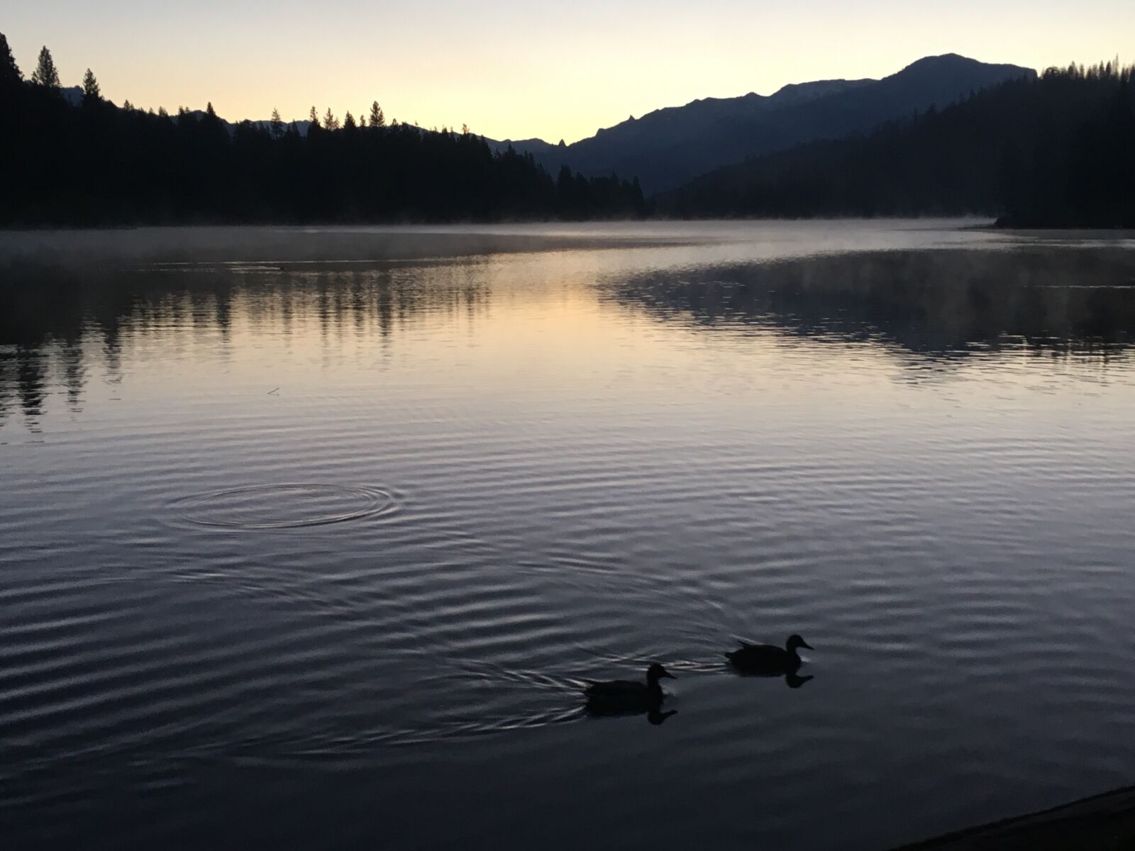 iPhone SE back camera 4.15mm f/2.2 sample photo. Lake, hume, sequoia photography