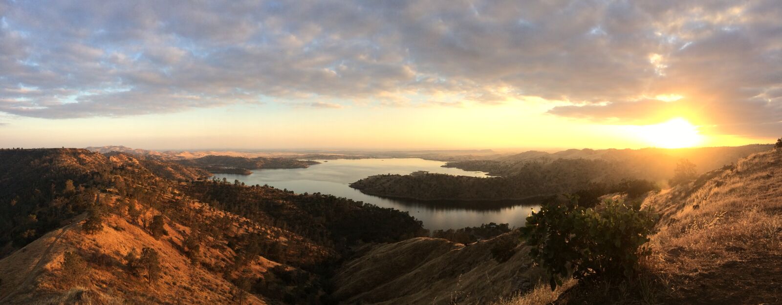 iPhone 5s back camera 4.15mm f/2.2 sample photo. Fresno, california, usa photography