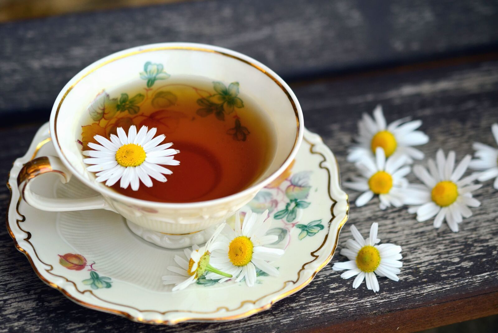 Nikon D5100 sample photo. Daisy, tea, cup, saucer photography
