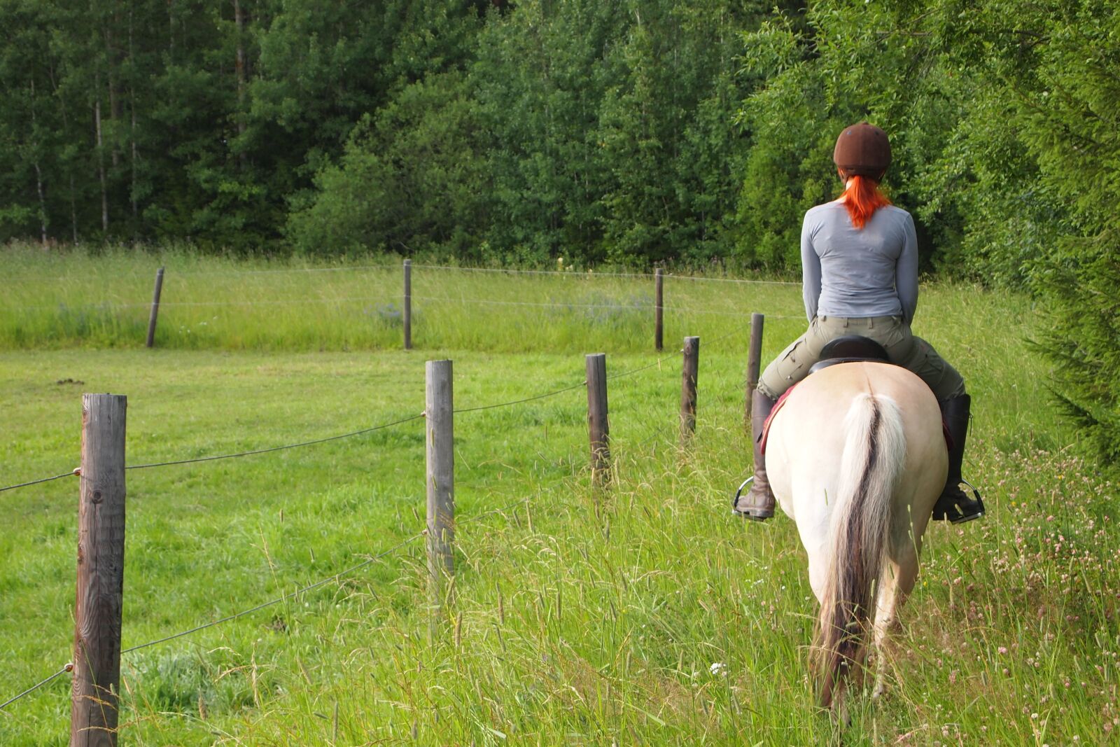 Olympus PEN E-PL1 sample photo. Horseback riding, horse, ride photography