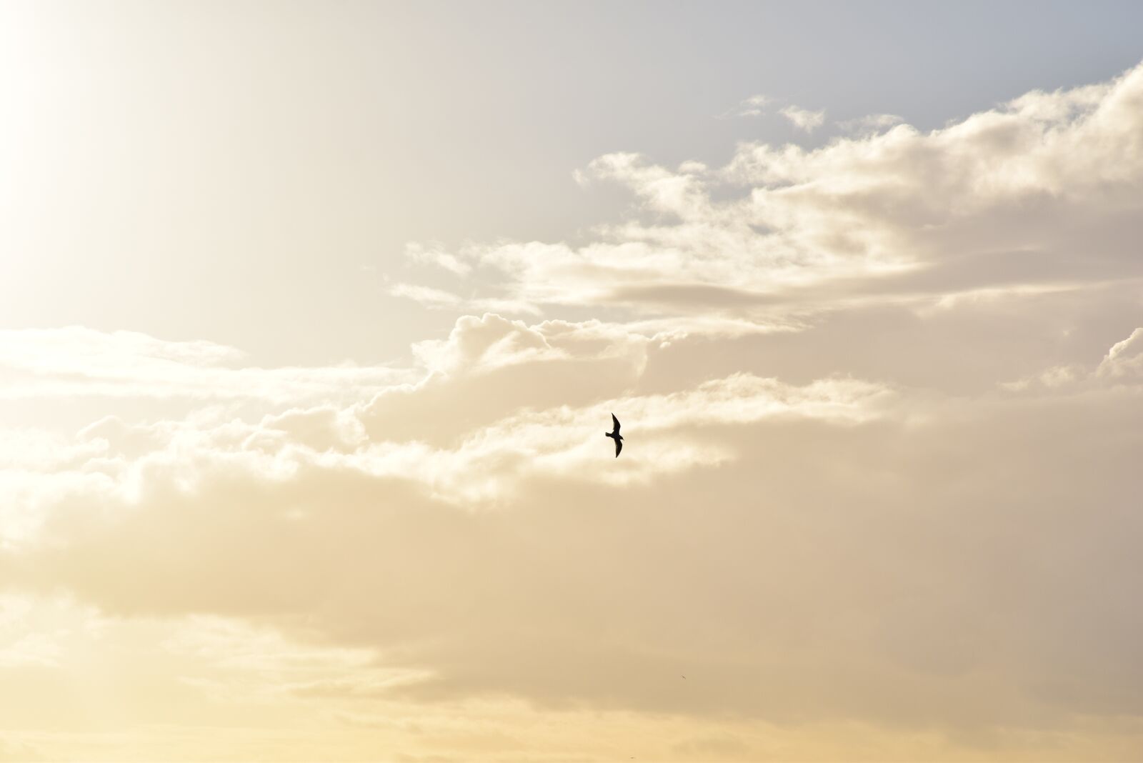 Nikon D5300 sample photo. Heaven, nature, sun photography