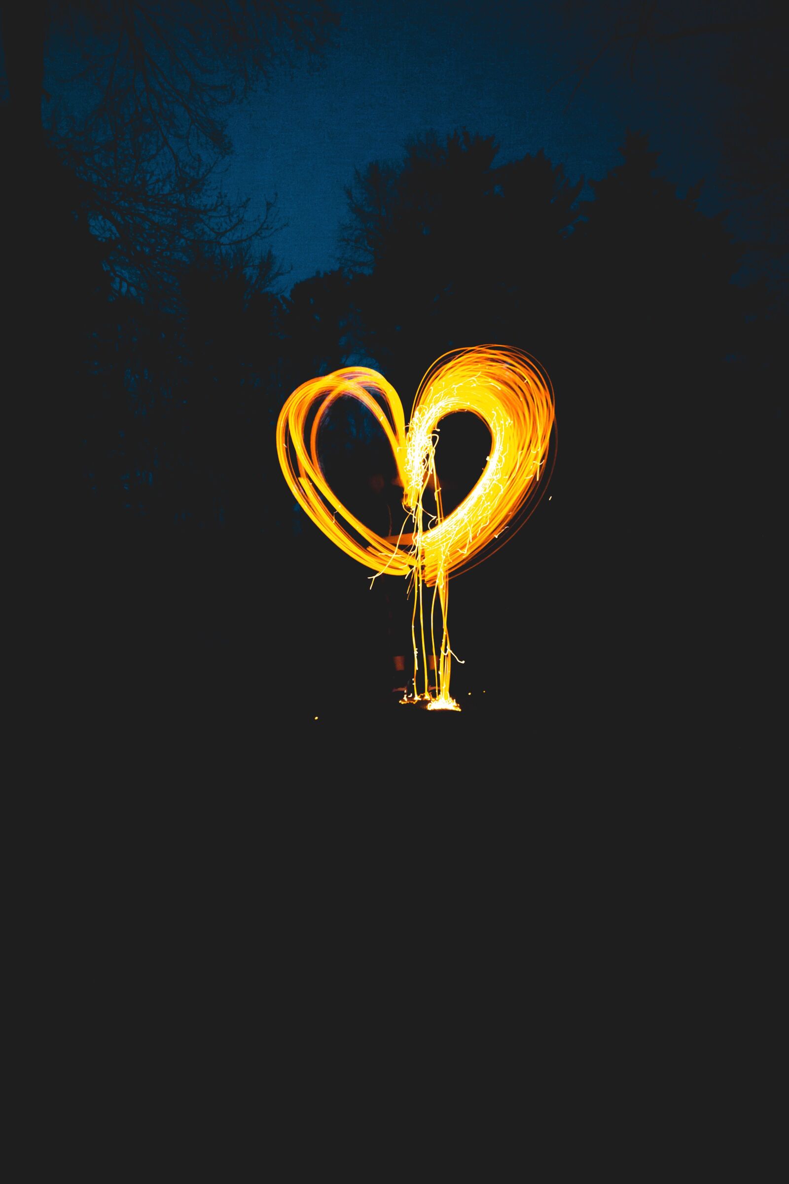 Sony a6000 sample photo. Night, shape, tree, figure photography