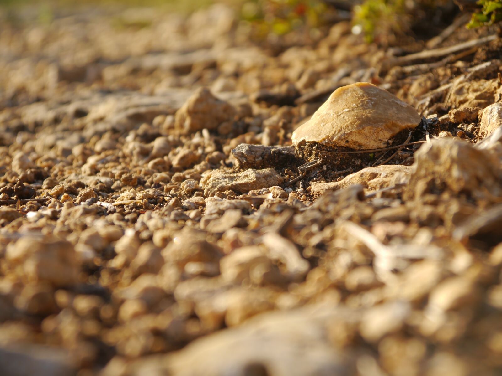 Panasonic Lumix DMC-G3 sample photo. Pebbles, stones, focus photography