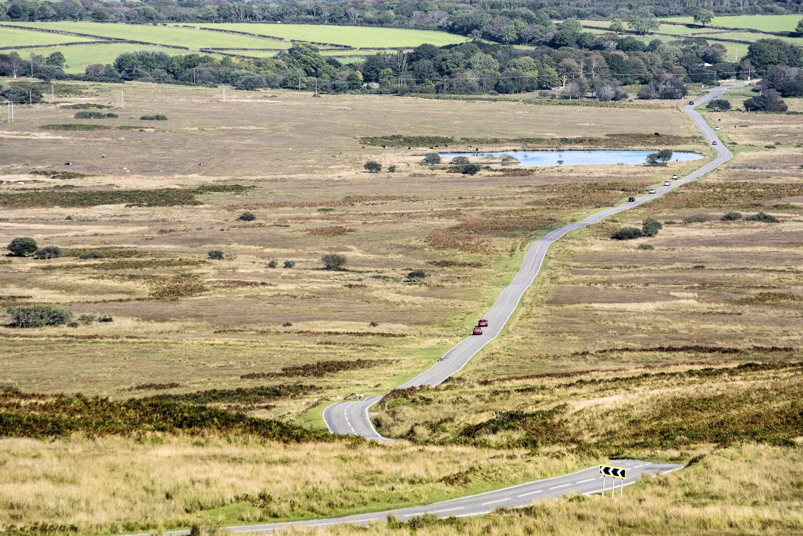 Nikon D5200 sample photo. Landscape, gower, nature photography
