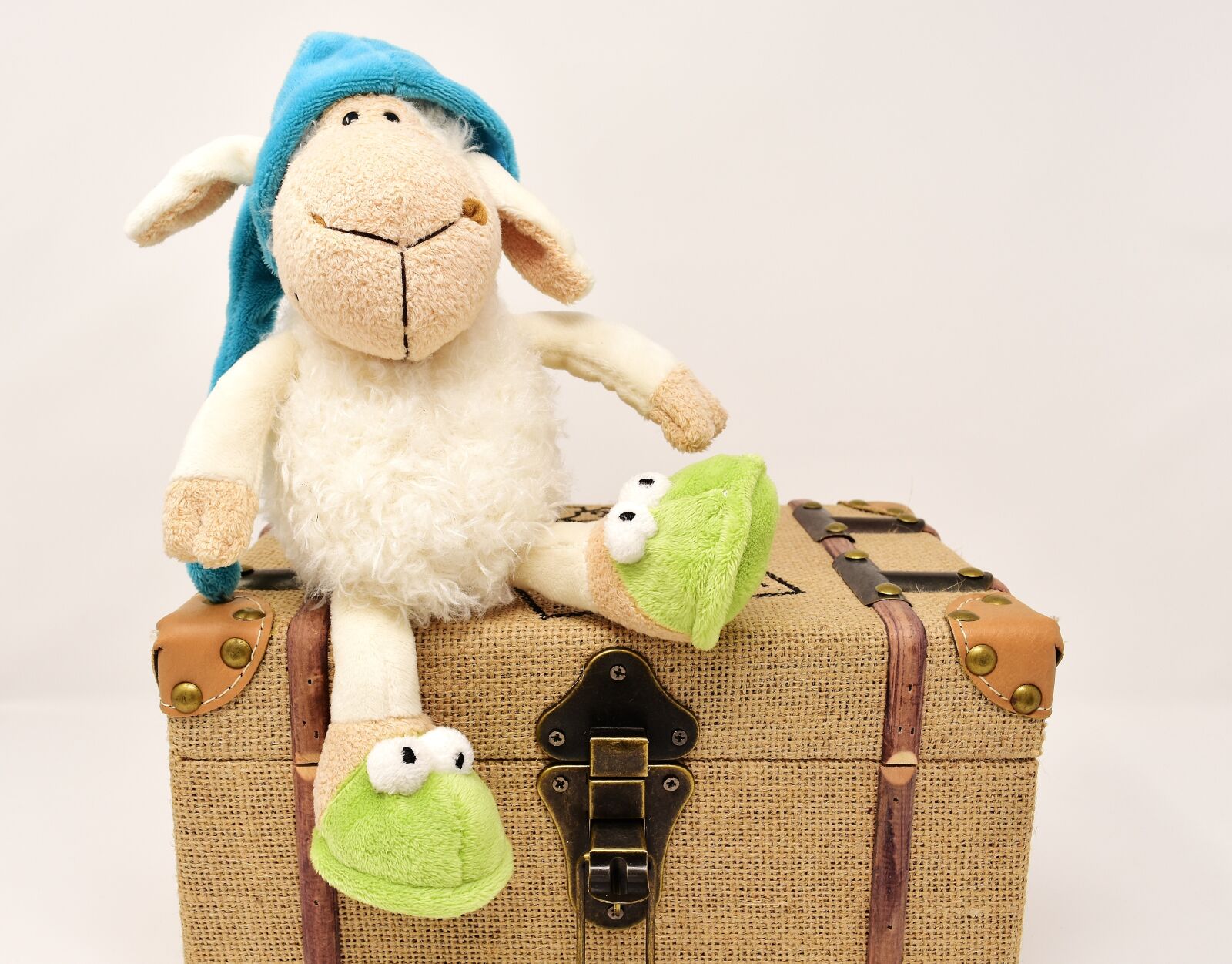 Nikon D7200 sample photo. Sheep, teddy bear, chest photography