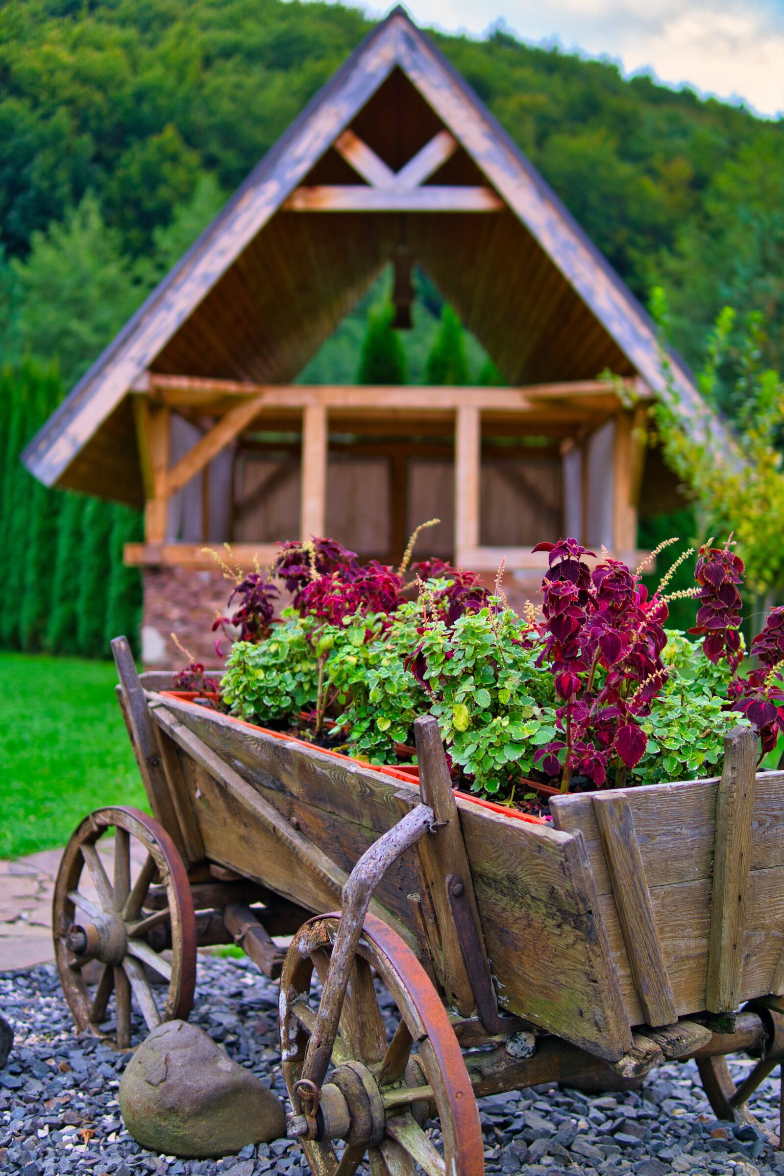 Sony a6000 + 30mm F1.4 DC DN | Contemporary 016 sample photo. Wagon, hut, plants photography