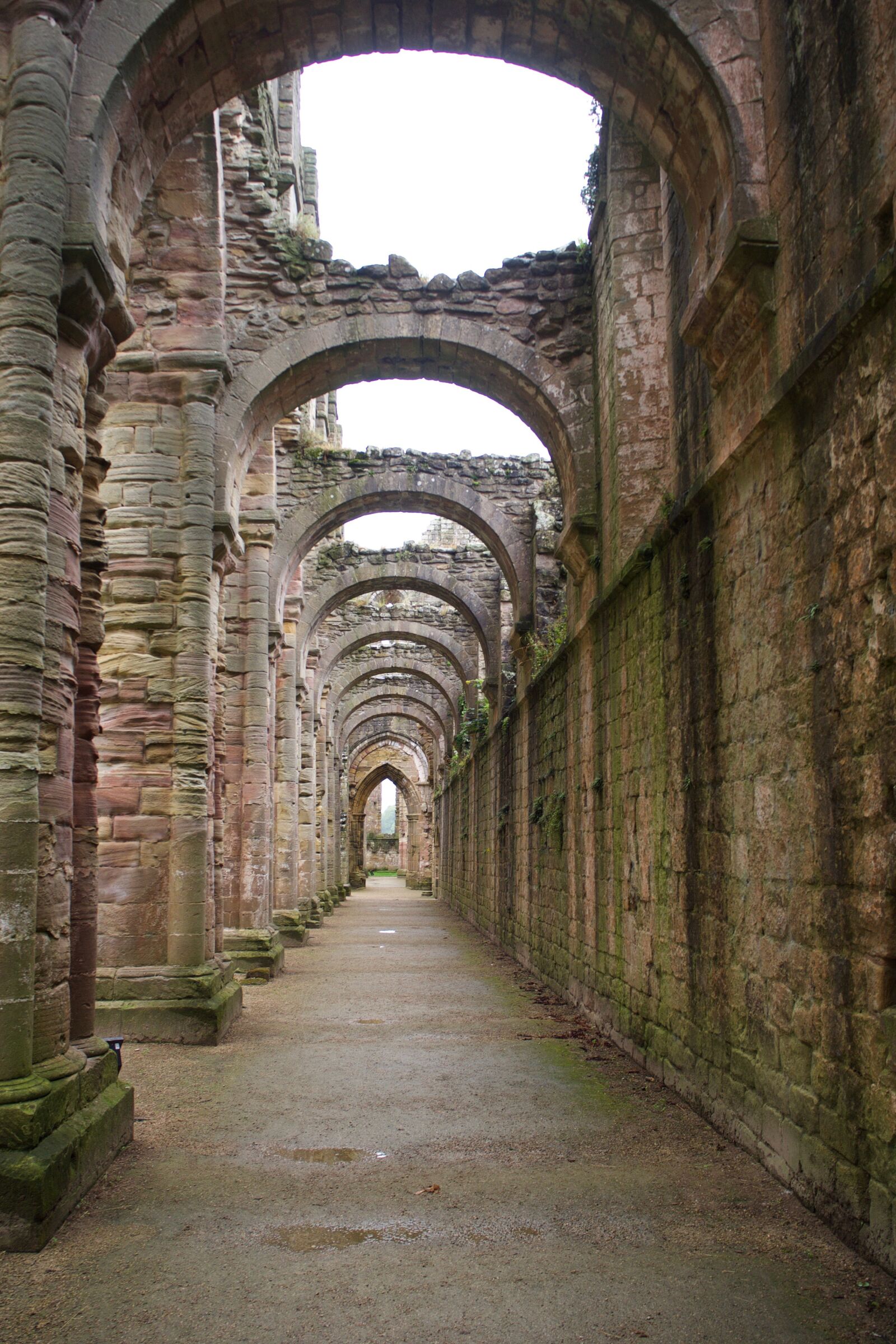 Olympus OM-D E-M10 sample photo. Fountains abbey, cistercian monastery photography