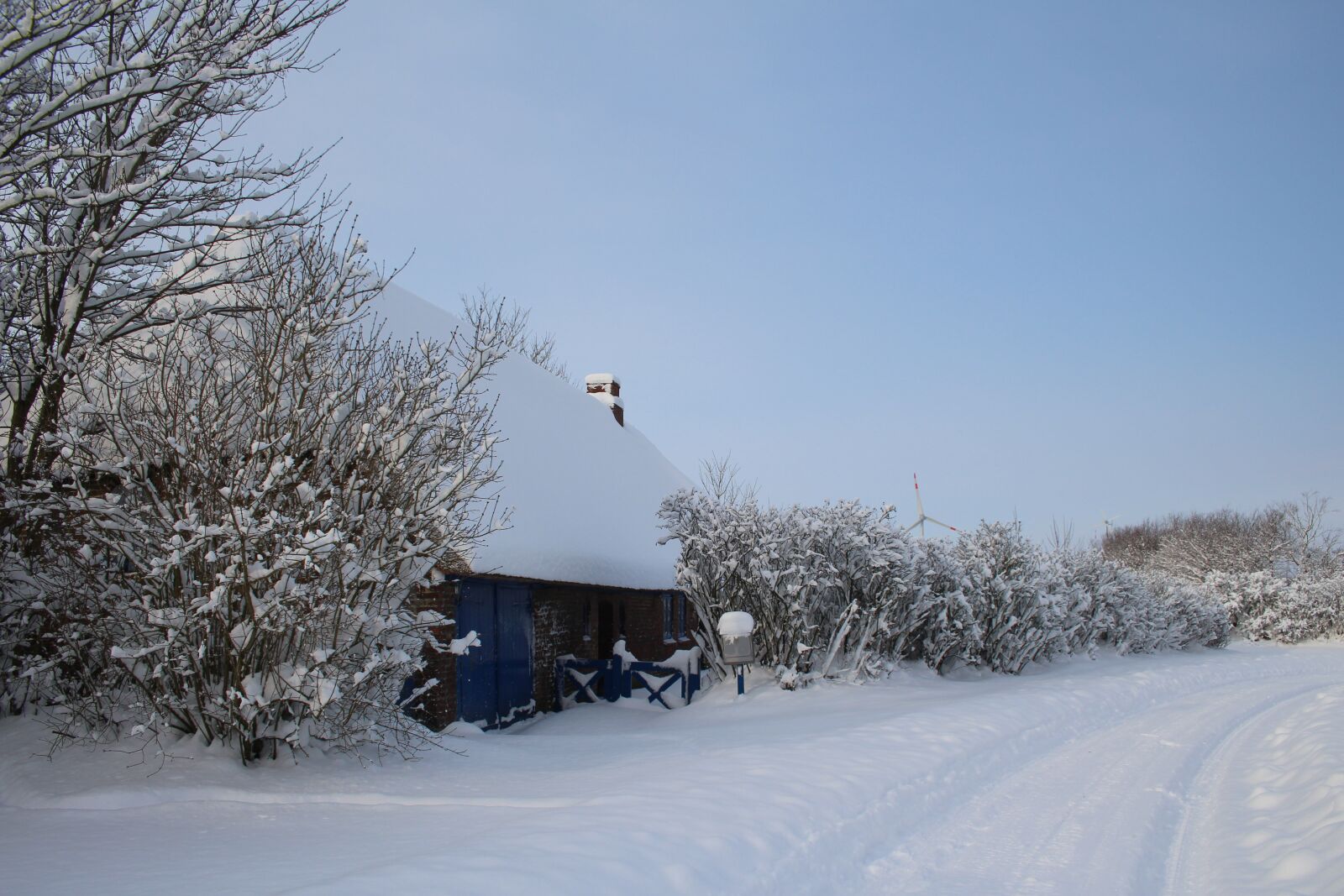 Canon EF-S 18-55mm F3.5-5.6 II sample photo. Winter, snow, frost photography