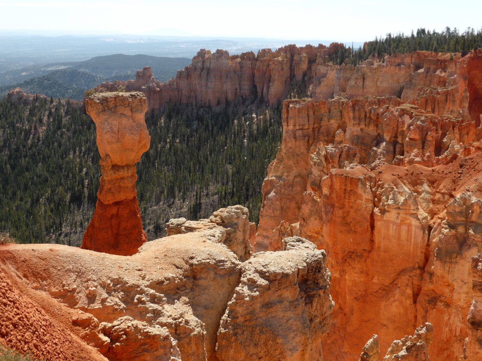 Panasonic Lumix DMC-ZS30 (Lumix DMC-TZ40) sample photo. Nature, bryce canyon, view photography