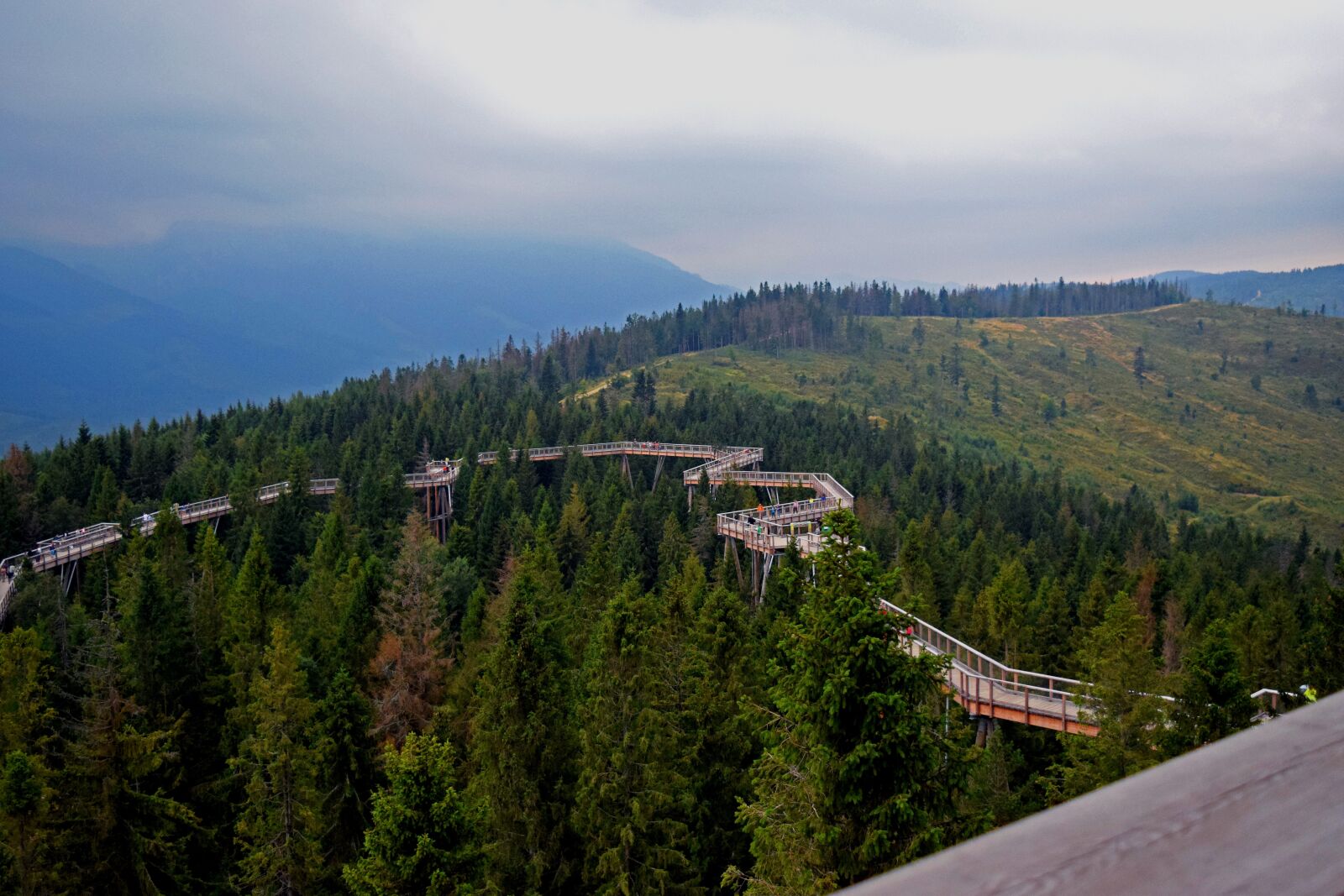 Nikon D5300 sample photo. Views, forests, nature photography