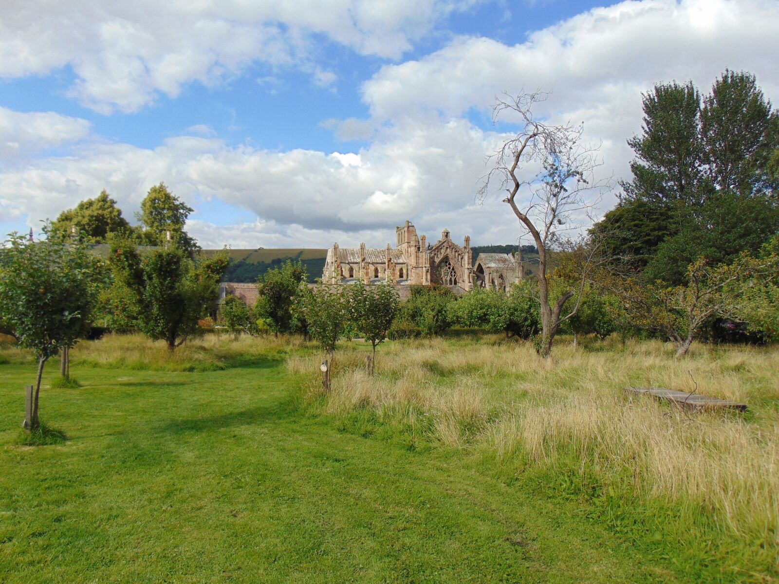 Sony Cyber-shot DSC-H300 sample photo. Melrose abbey, scotland, historic photography