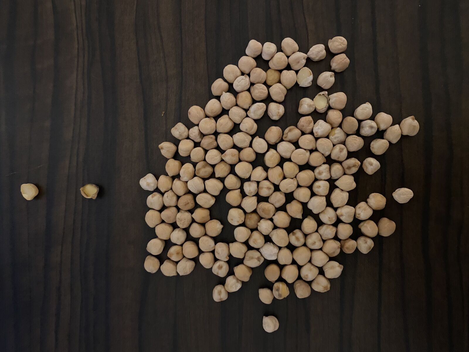 Apple iPhone 11 sample photo. Chickpeas, seeds, seedlings photography