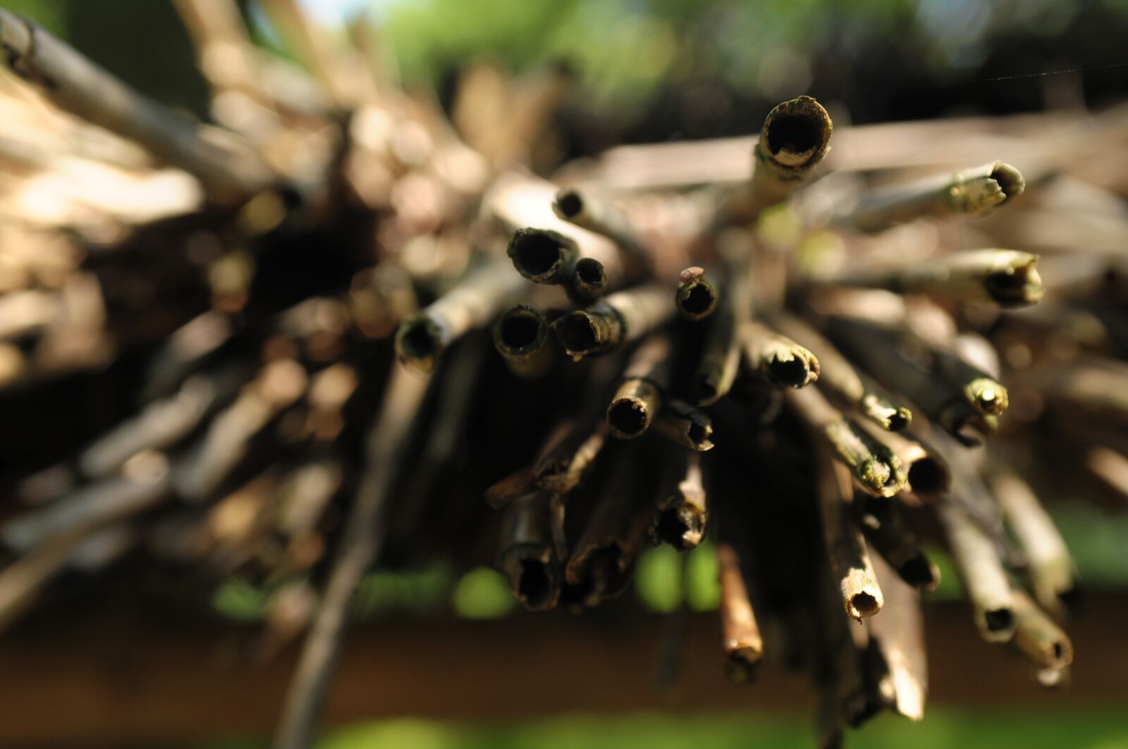 Nikon D300 sample photo. Sticks, macro, blur photography