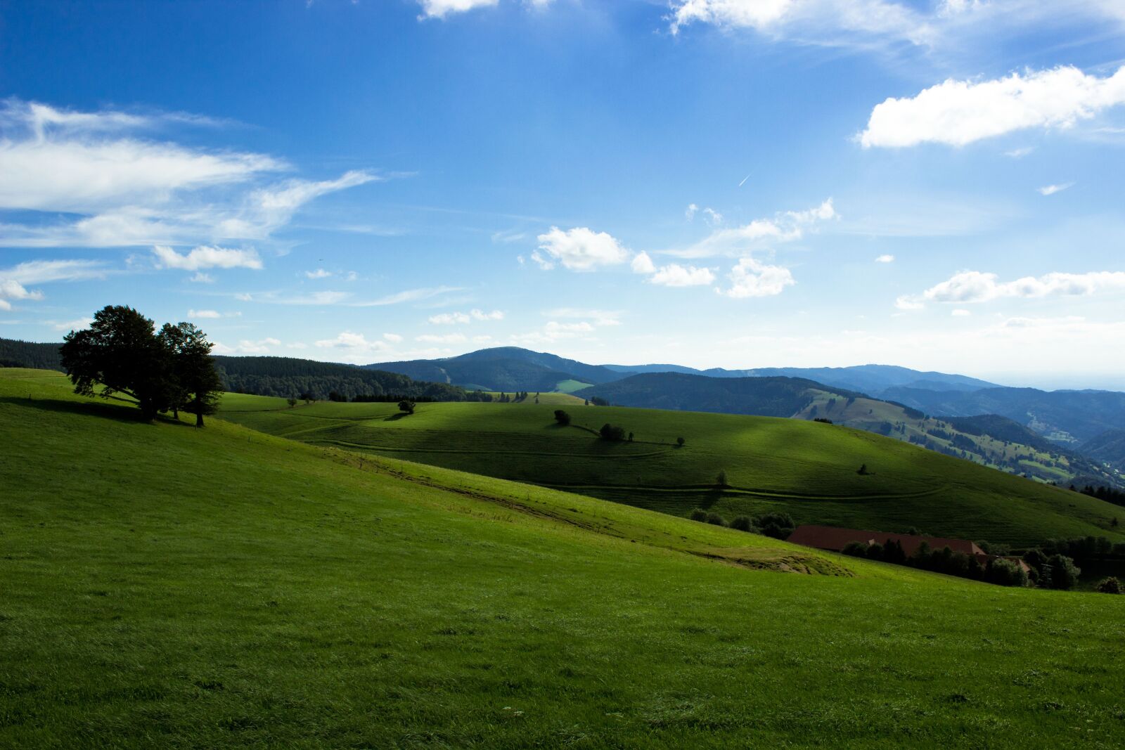 Canon EOS 600D (Rebel EOS T3i / EOS Kiss X5) sample photo. Black forest, forest, landscape photography
