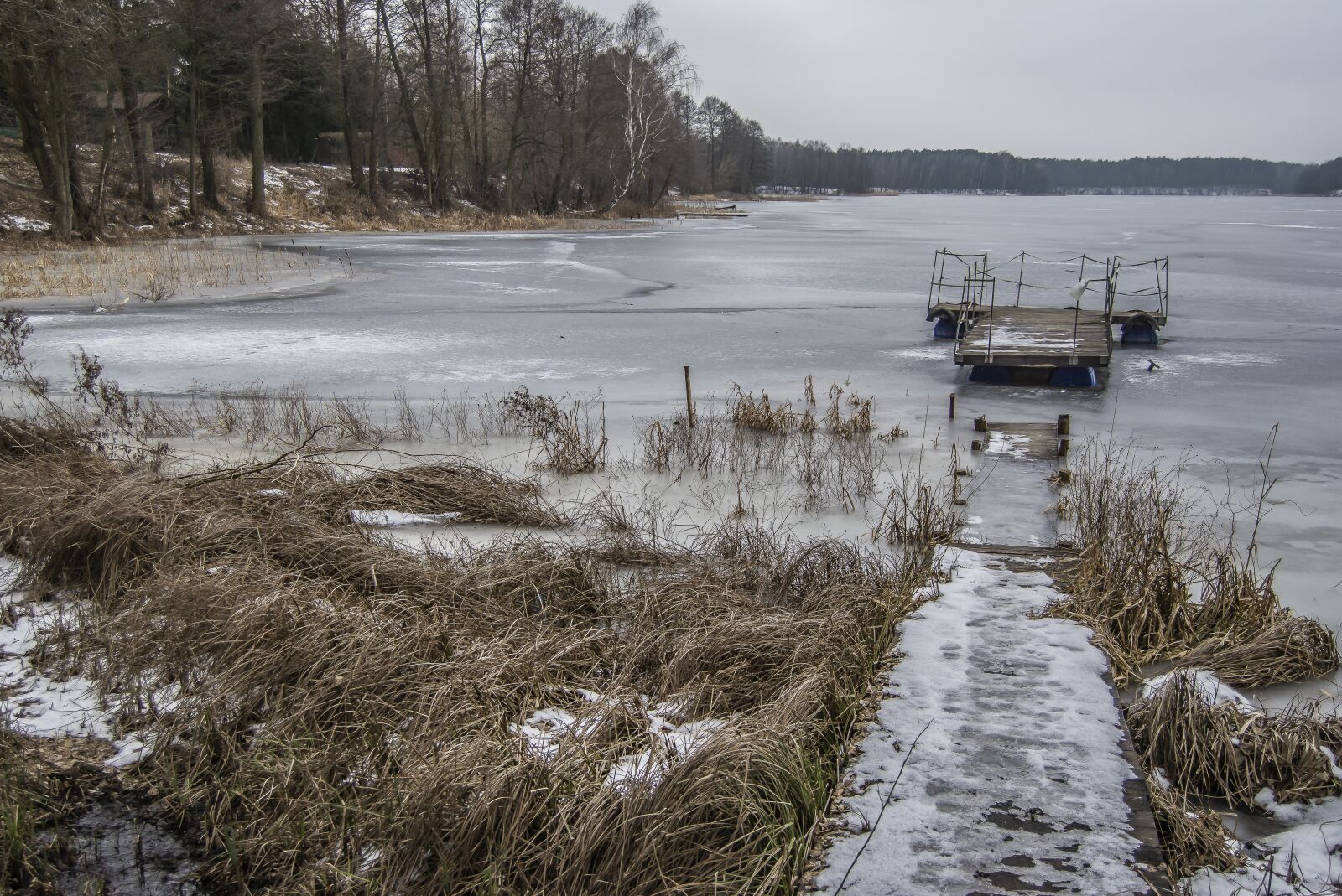 Nikon D7100 sample photo. Winter, frost, freeze photography