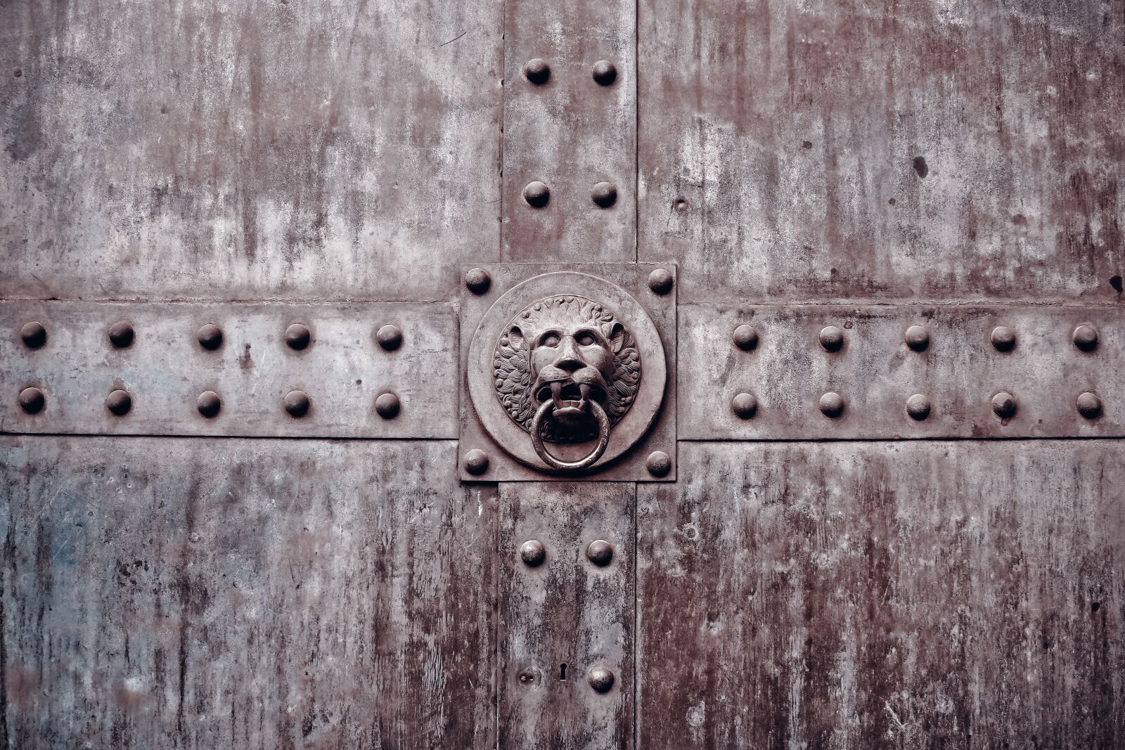 Olympus OM-D E-M10 sample photo. Goal, portal, door photography