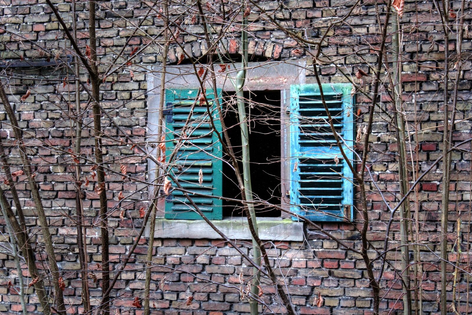 Canon EOS 550D (EOS Rebel T2i / EOS Kiss X4) sample photo. Window, wall, shutter photography