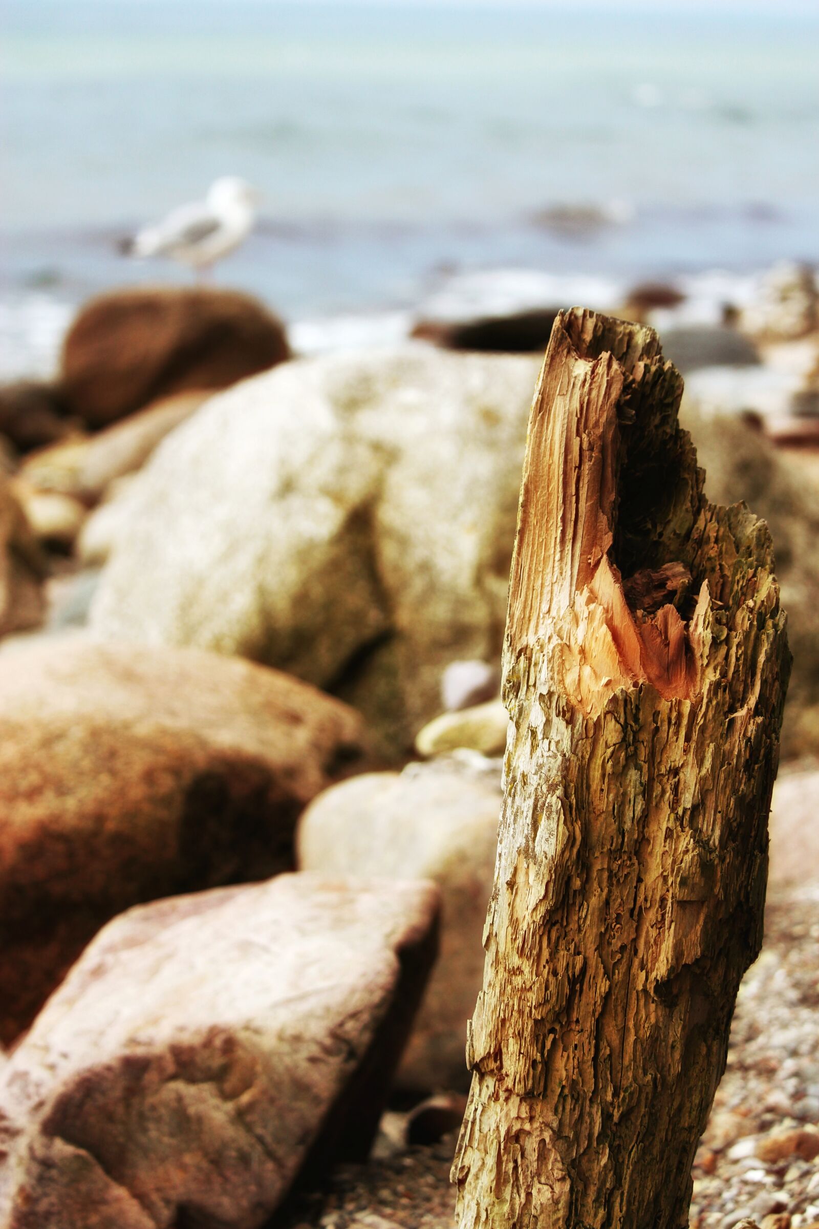 Canon EF-S 55-250mm F4-5.6 IS STM sample photo. Baltic sea, gr mitz photography