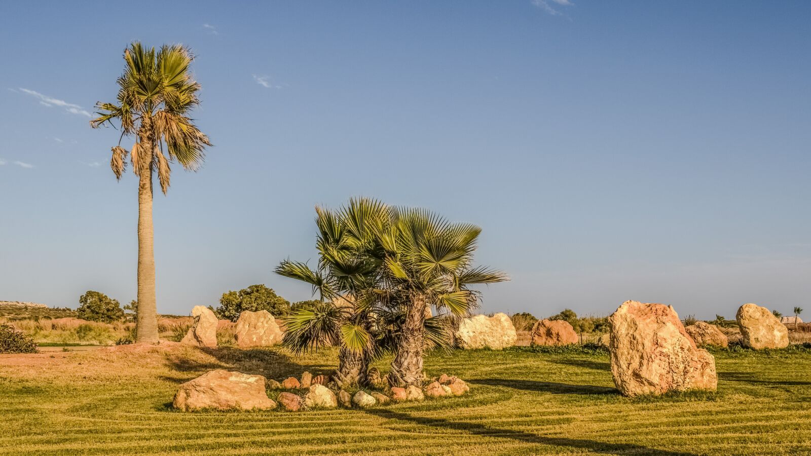 Nikon D3300 sample photo. Landscaping, palm trees, rocks photography