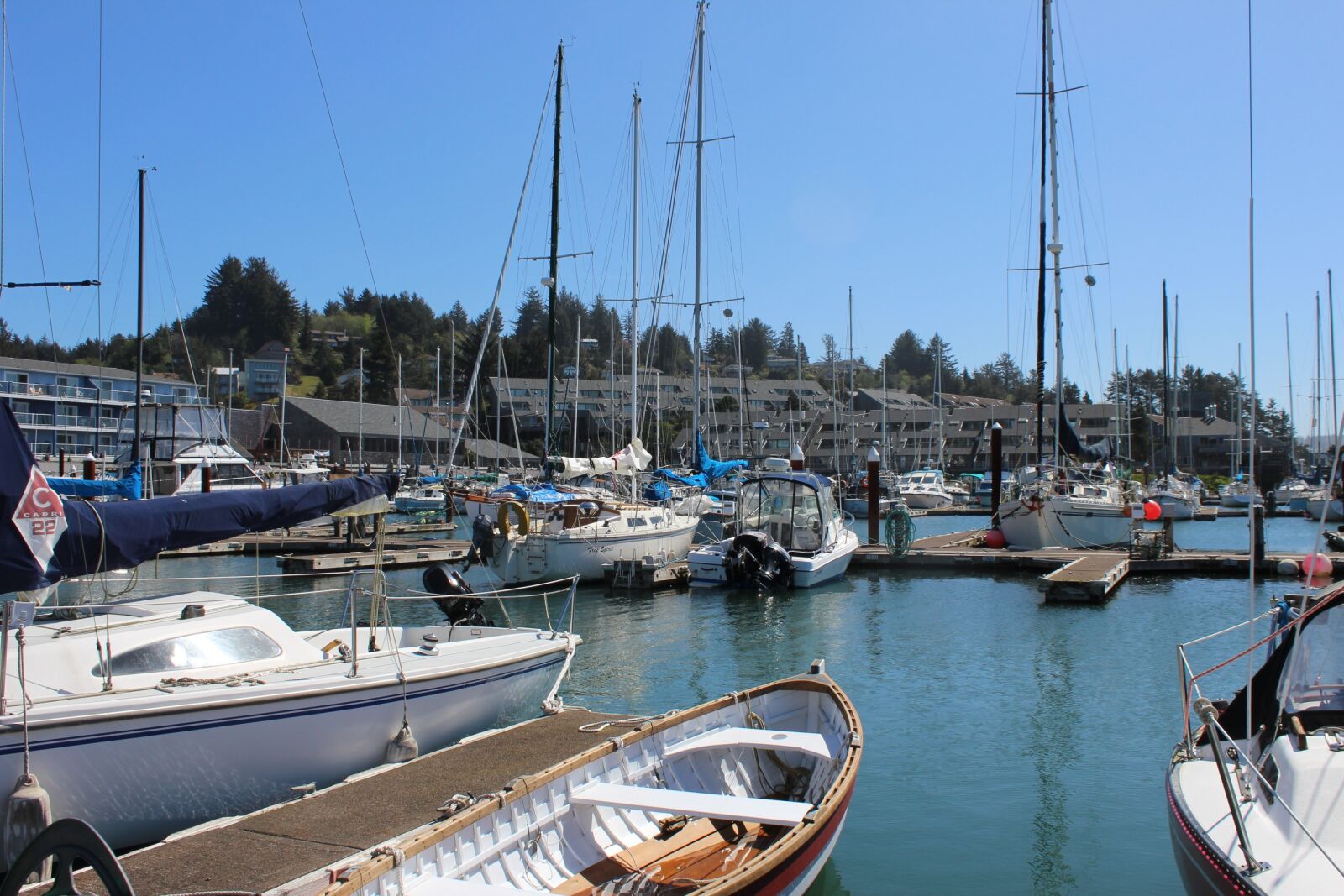 Canon EOS 1200D (EOS Rebel T5 / EOS Kiss X70 / EOS Hi) sample photo. Newport oregon, marina, oregon photography