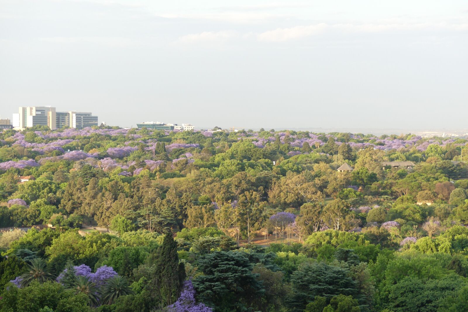 Panasonic Lumix DMC-FZ300 sample photo. South africa, johannesburg, joburg photography