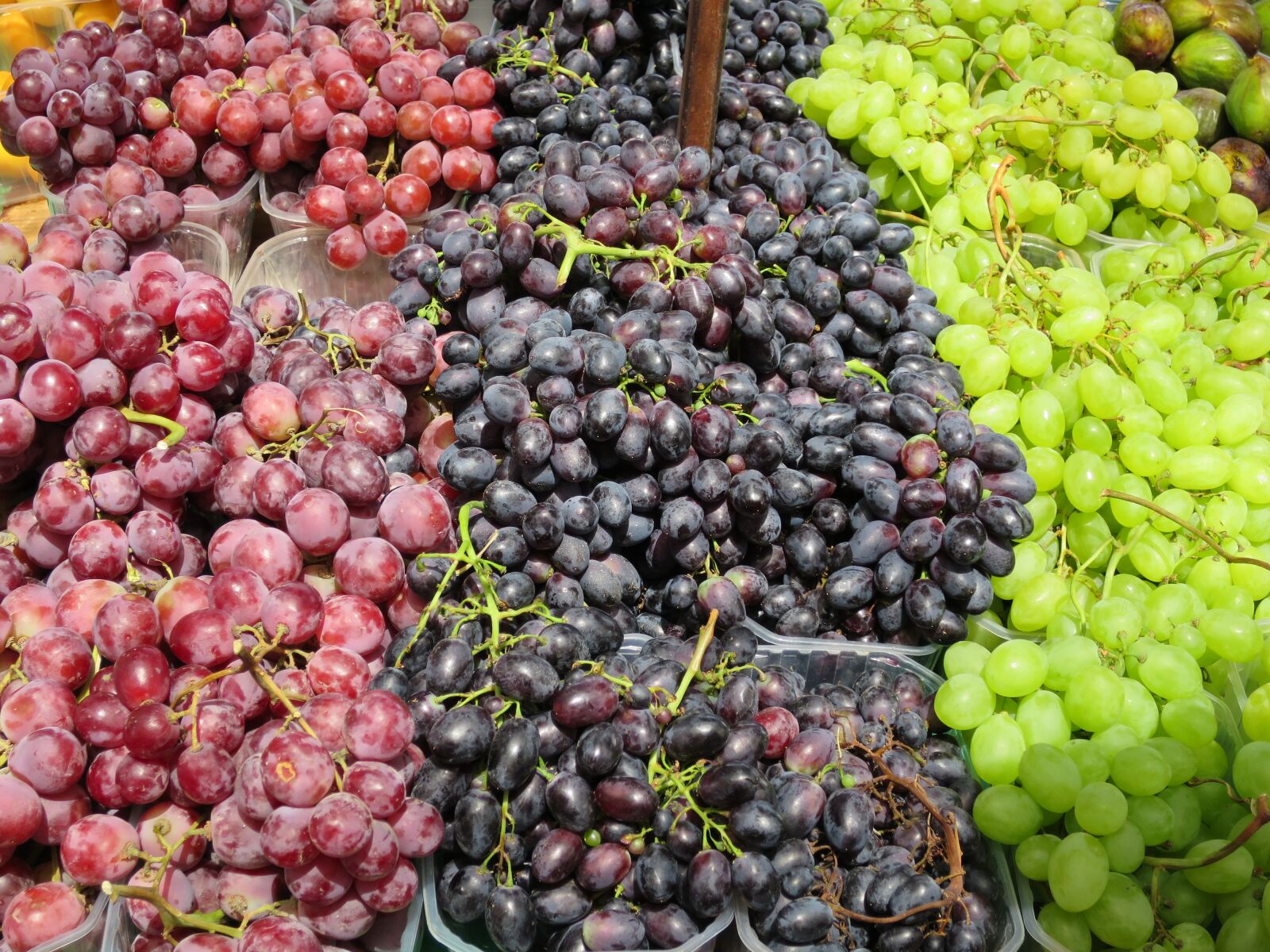 Canon PowerShot S120 sample photo. Grape, fruit, still life photography