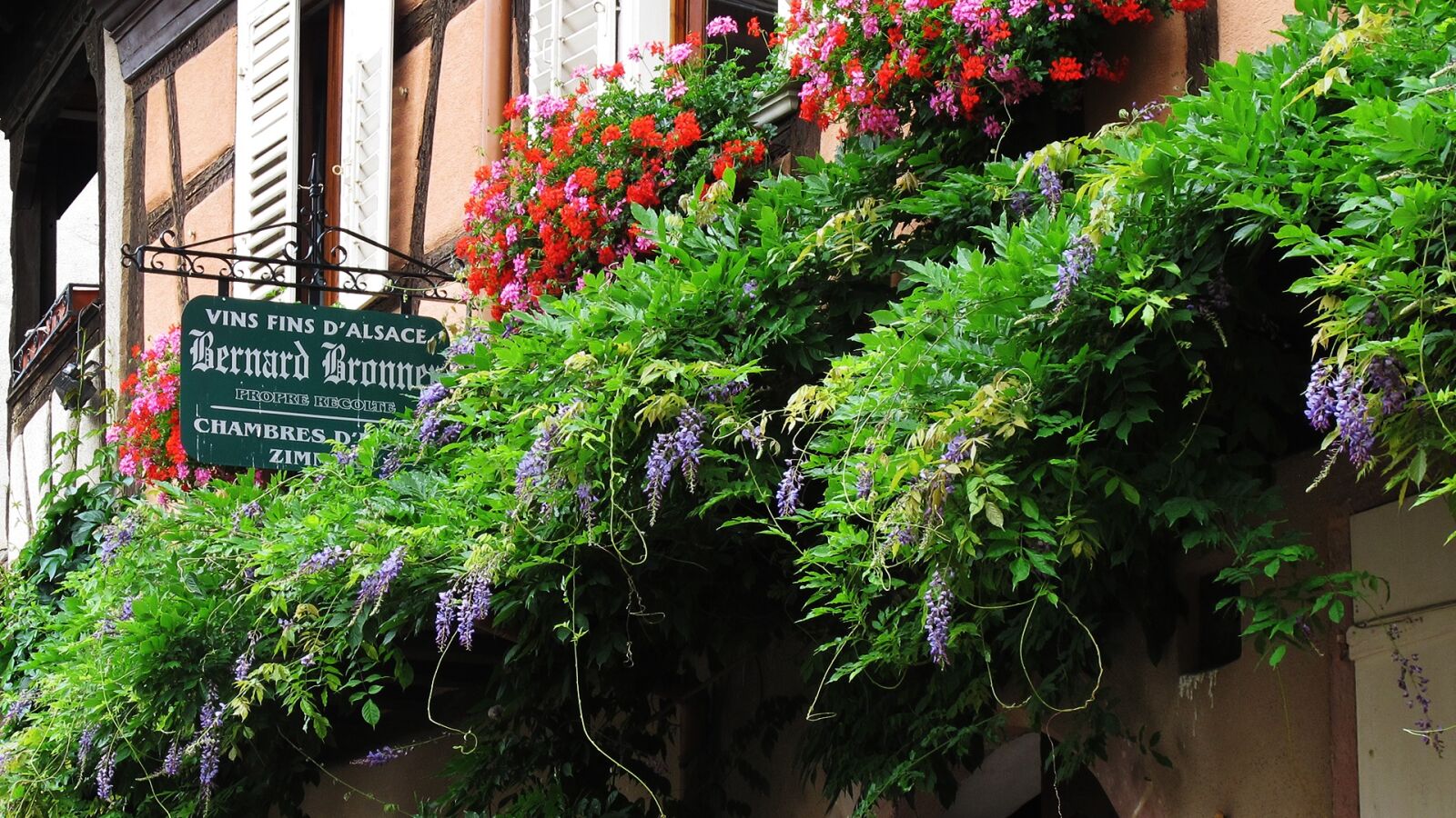 Canon PowerShot G11 sample photo. Travel, facades, plants photography