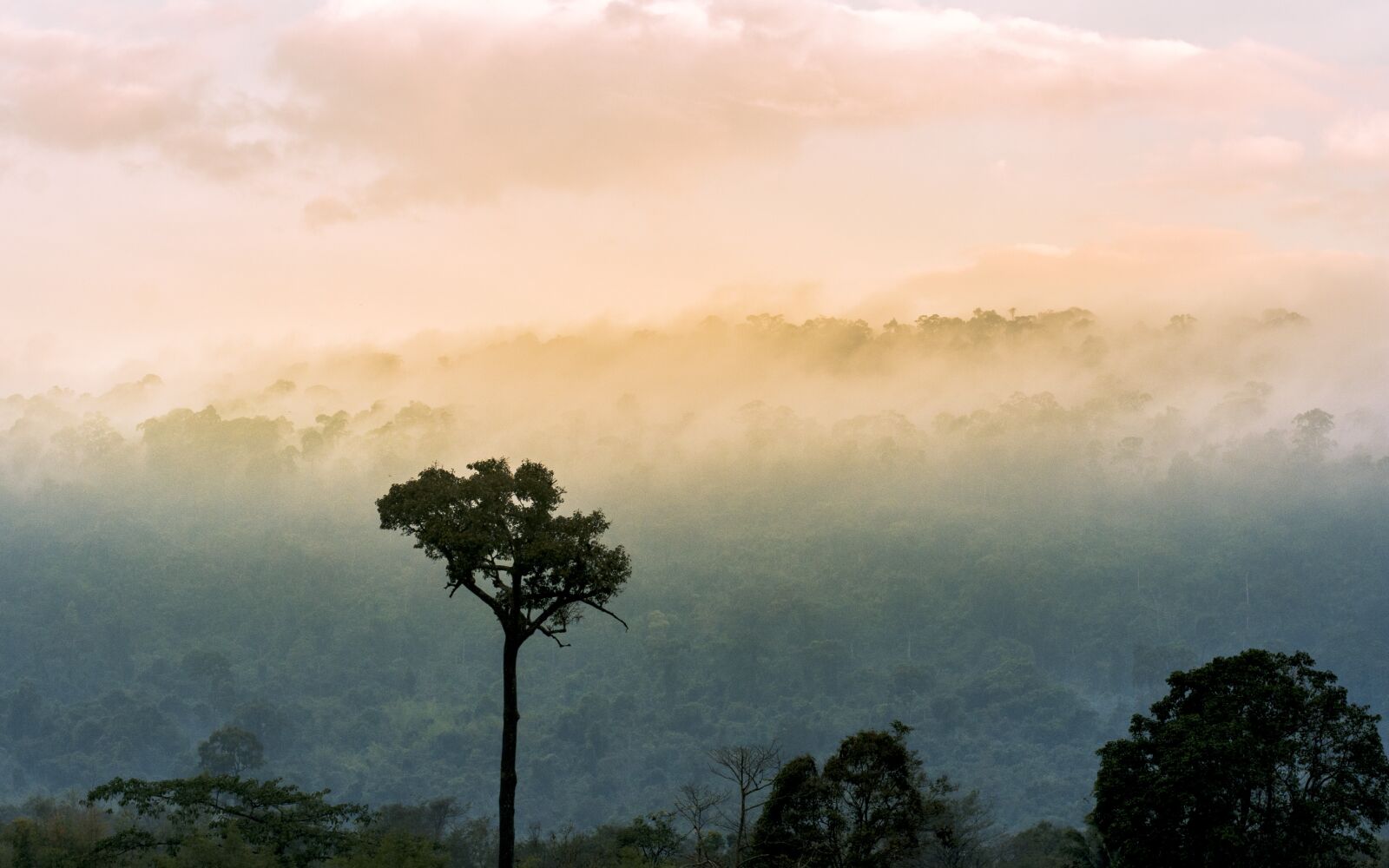 Nikon D7200 sample photo. Nature, pa, thailand photography
