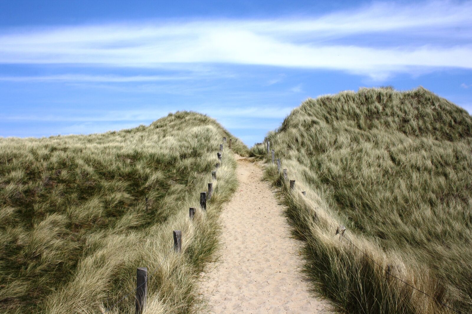 Canon EOS 1000D (EOS Digital Rebel XS / EOS Kiss F) sample photo. Sylt, germany, grass photography
