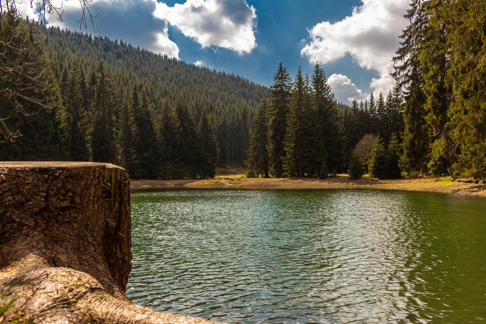 Canon EOS 700D (EOS Rebel T5i / EOS Kiss X7i) sample photo. Lake, forest, mountains photography