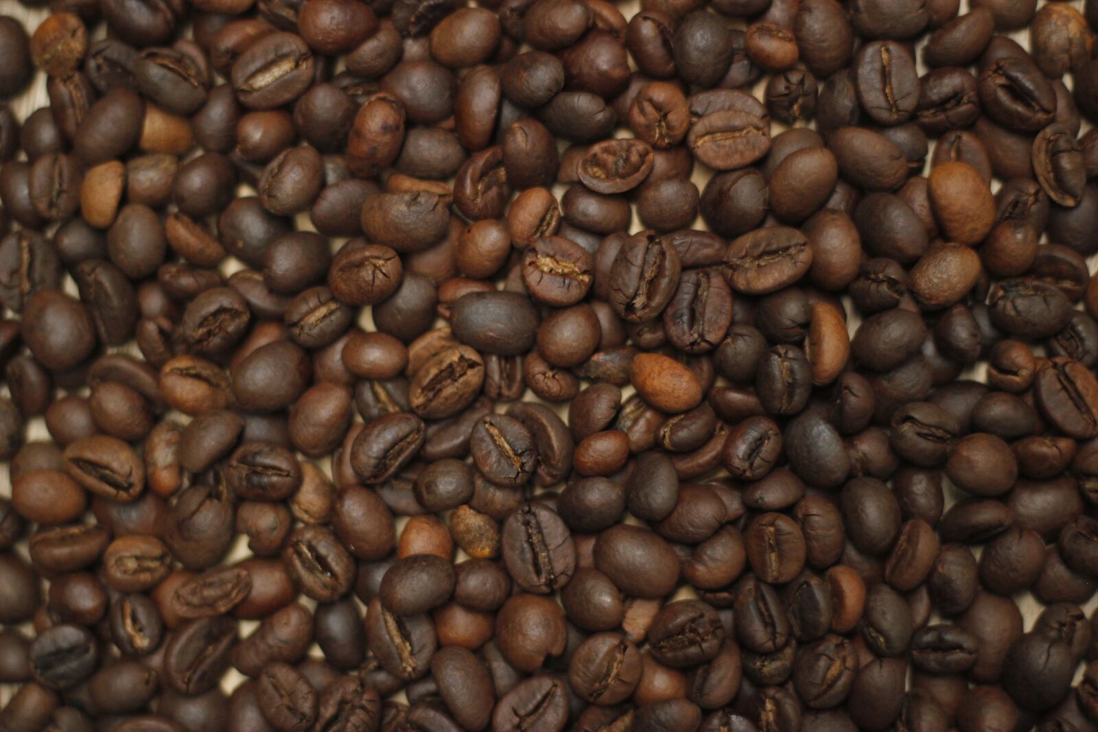 Canon EOS 550D (EOS Rebel T2i / EOS Kiss X4) sample photo. Coffee, coffee beans, aroma photography