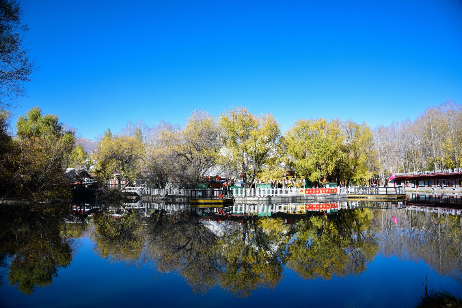 Nikon D810 sample photo. Blue sky, community, lake photography