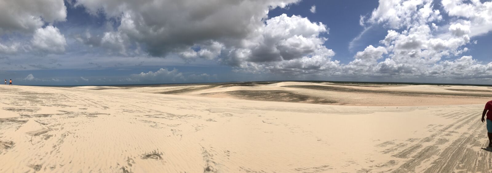 iPhone 7 back camera 3.99mm f/1.8 sample photo. Dunes, jericoaquara, ceará photography