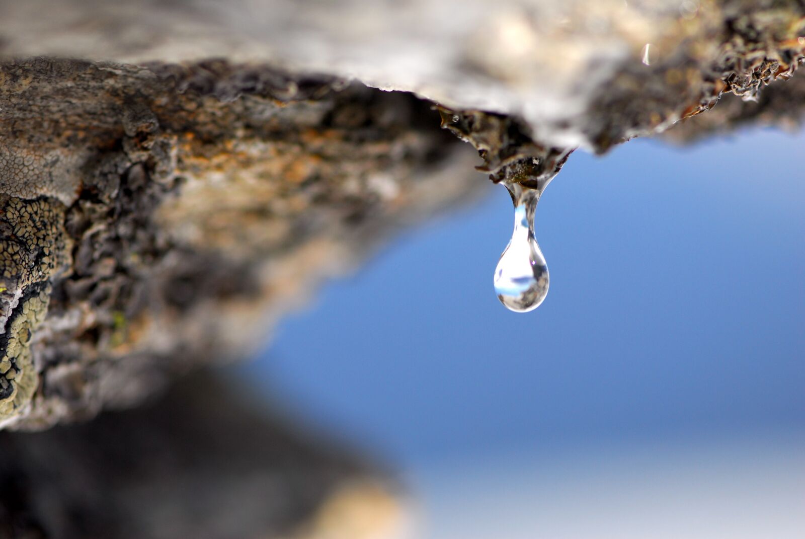 Nikon D200 sample photo. Water, droplet, drop of photography
