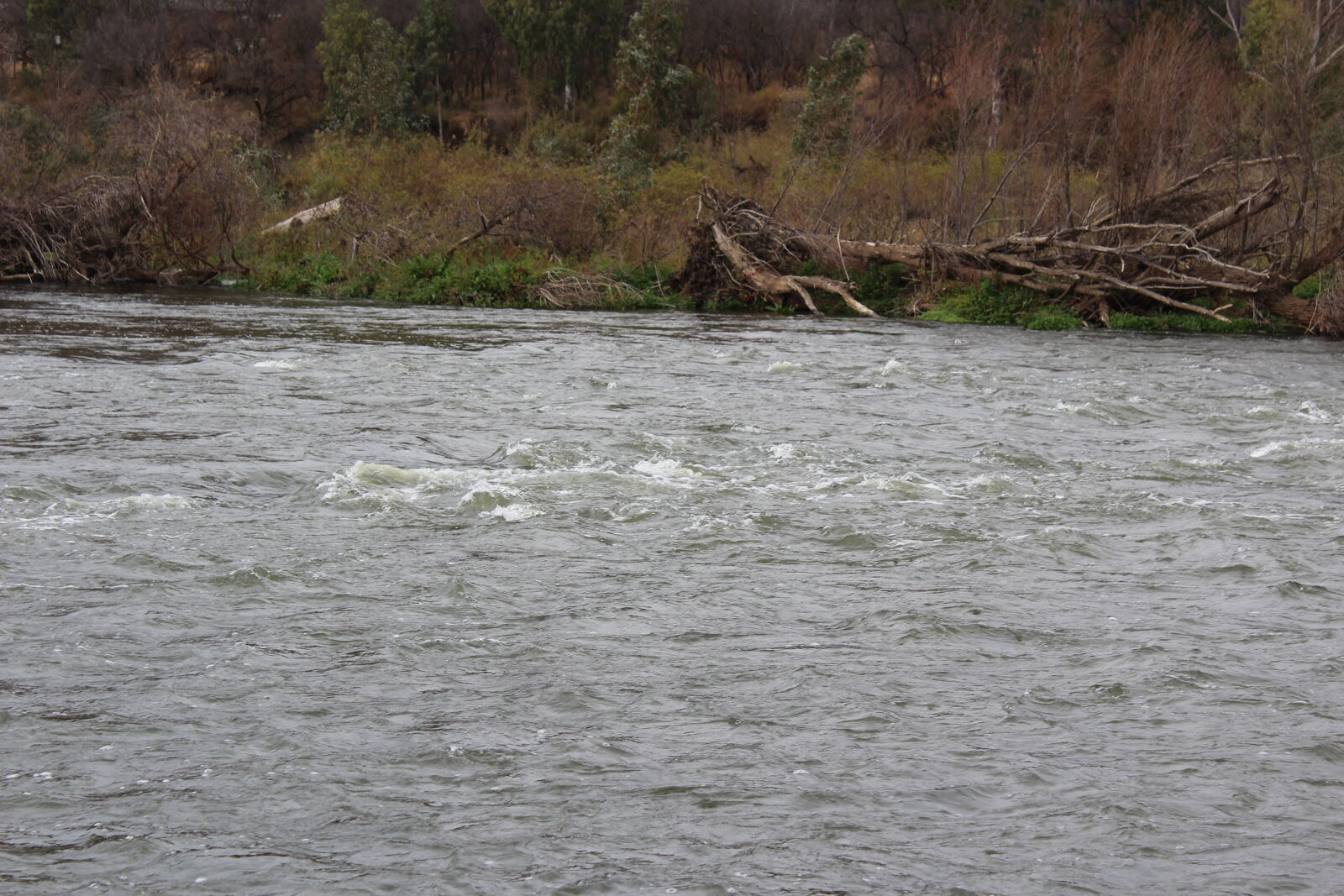 Canon EOS 1200D (EOS Rebel T5 / EOS Kiss X70 / EOS Hi) sample photo. River, south, africa photography