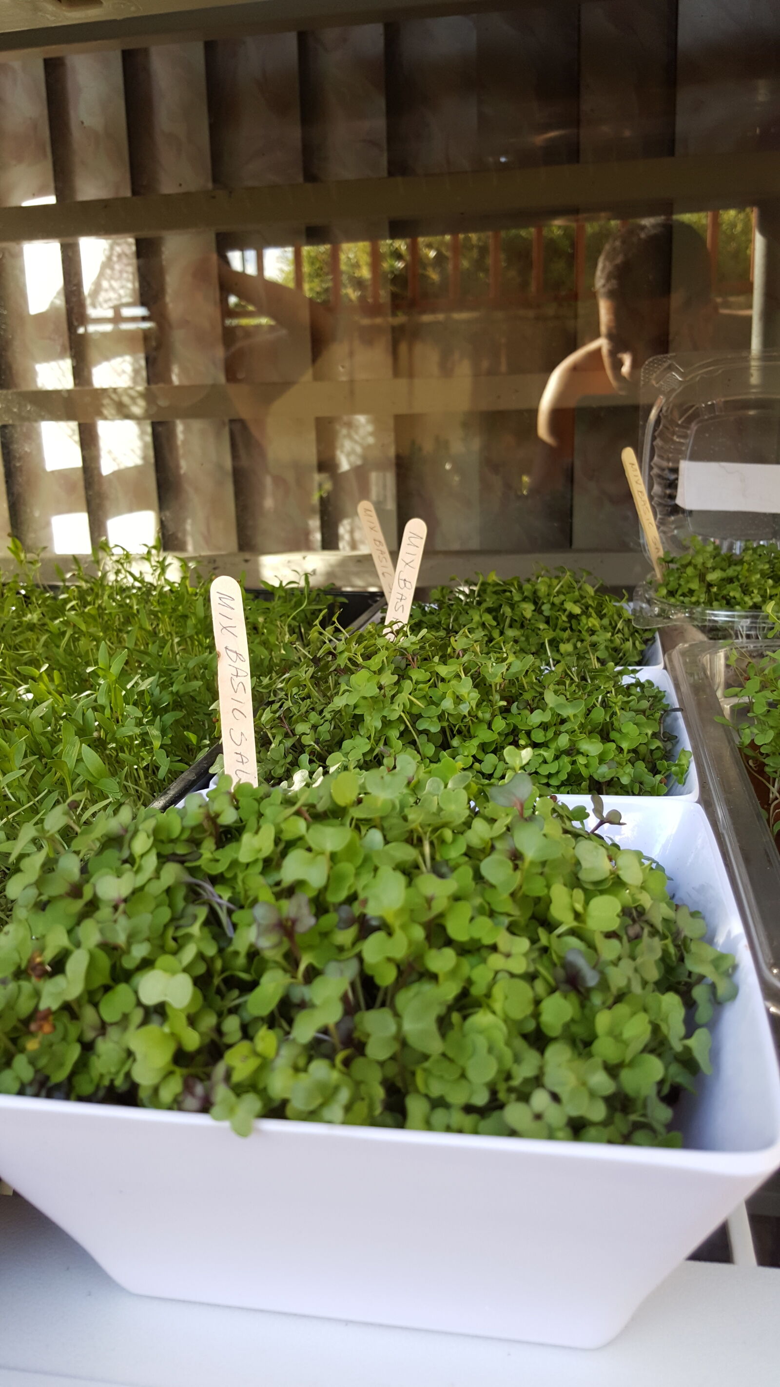 Samsung Galaxy Note5 sample photo. Mix, basic, salad, microgreens photography