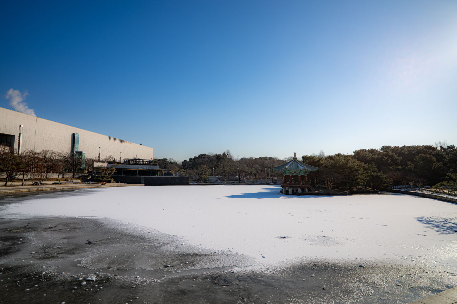 Nikon Z8 sample photo