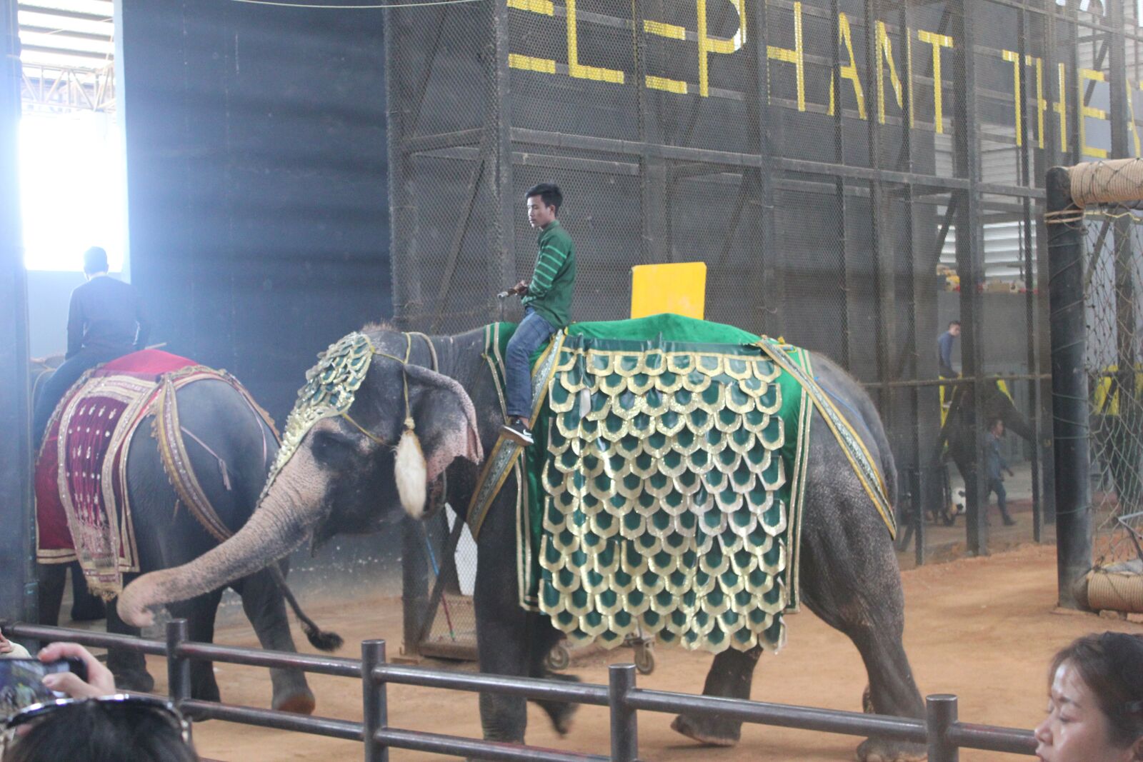 Canon EOS 550D (EOS Rebel T2i / EOS Kiss X4) sample photo. Wonderfull, elephant, thailand photography