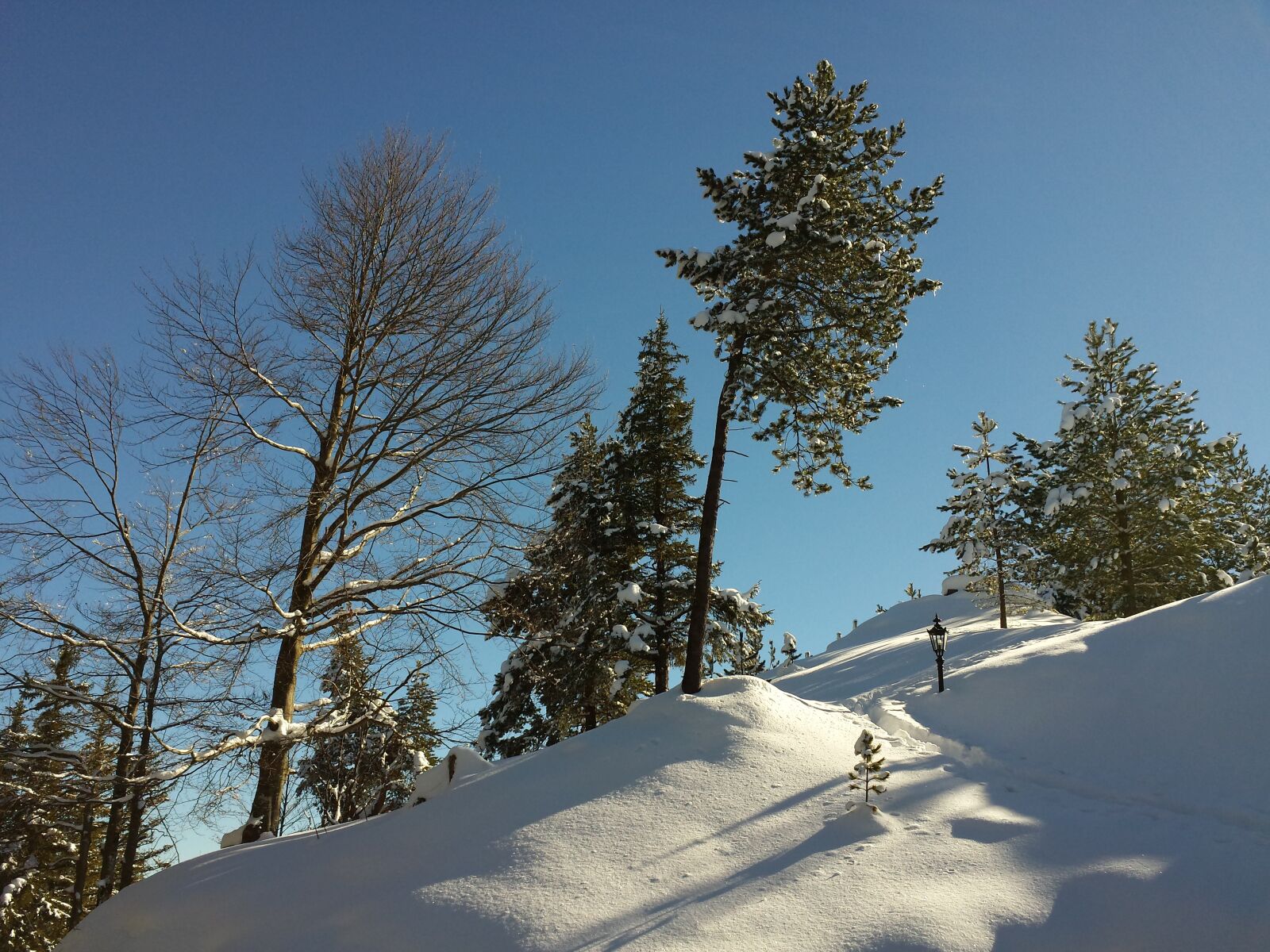 Samsung Galaxy S4 sample photo. Landscape, winter, wintry photography