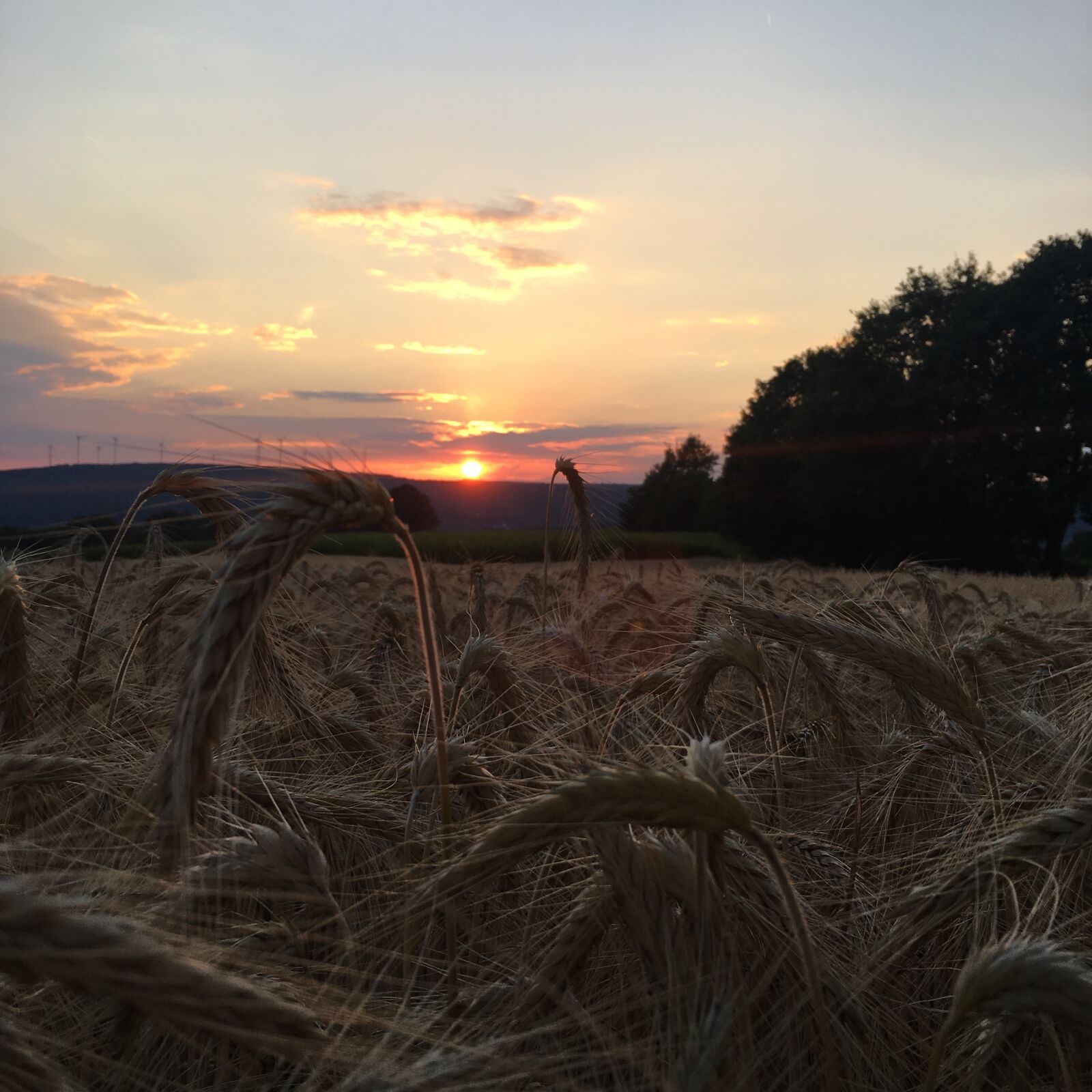 Apple iPhone 6s sample photo. Sunset, field, landscape photography