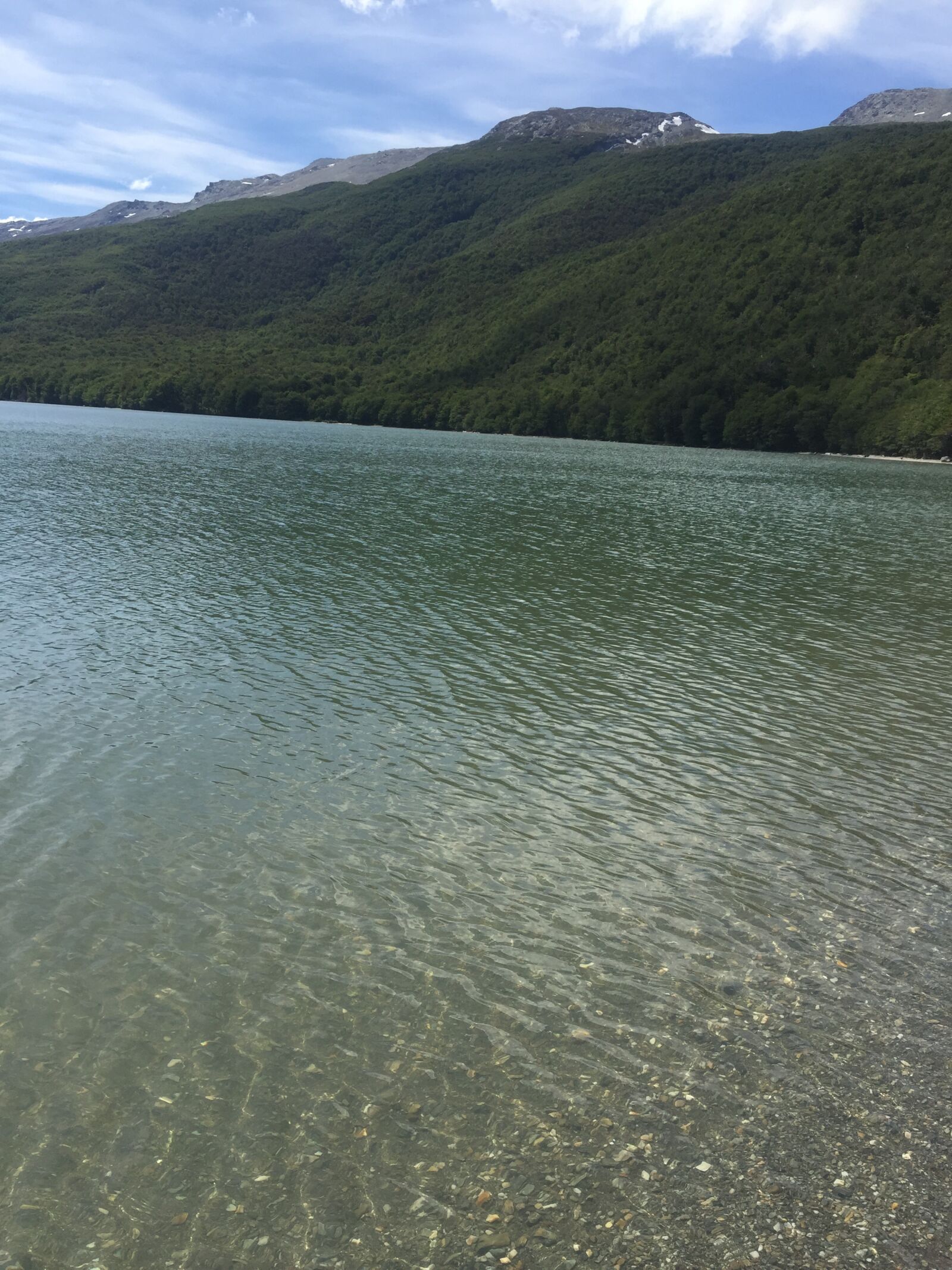 iPhone 6 back camera 4.15mm f/2.2 sample photo. Nature reserve, ushuaia, argentina photography