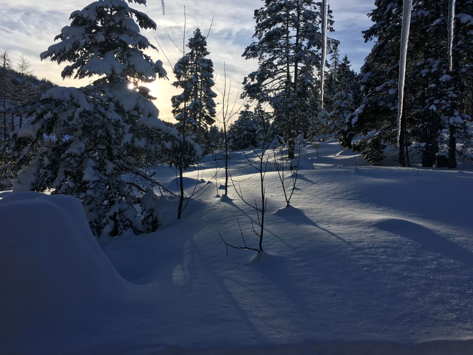 Apple iPhone 6s sample photo. Winter, snow, nature photography