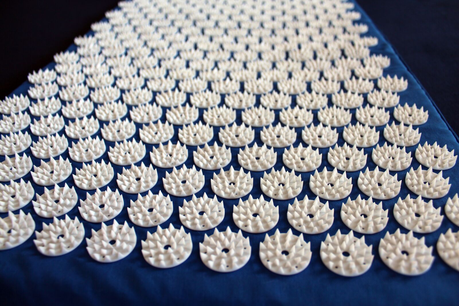 Canon EOS 650D (EOS Rebel T4i / EOS Kiss X6i) sample photo. Acupressure mat, acupressure, spiked photography
