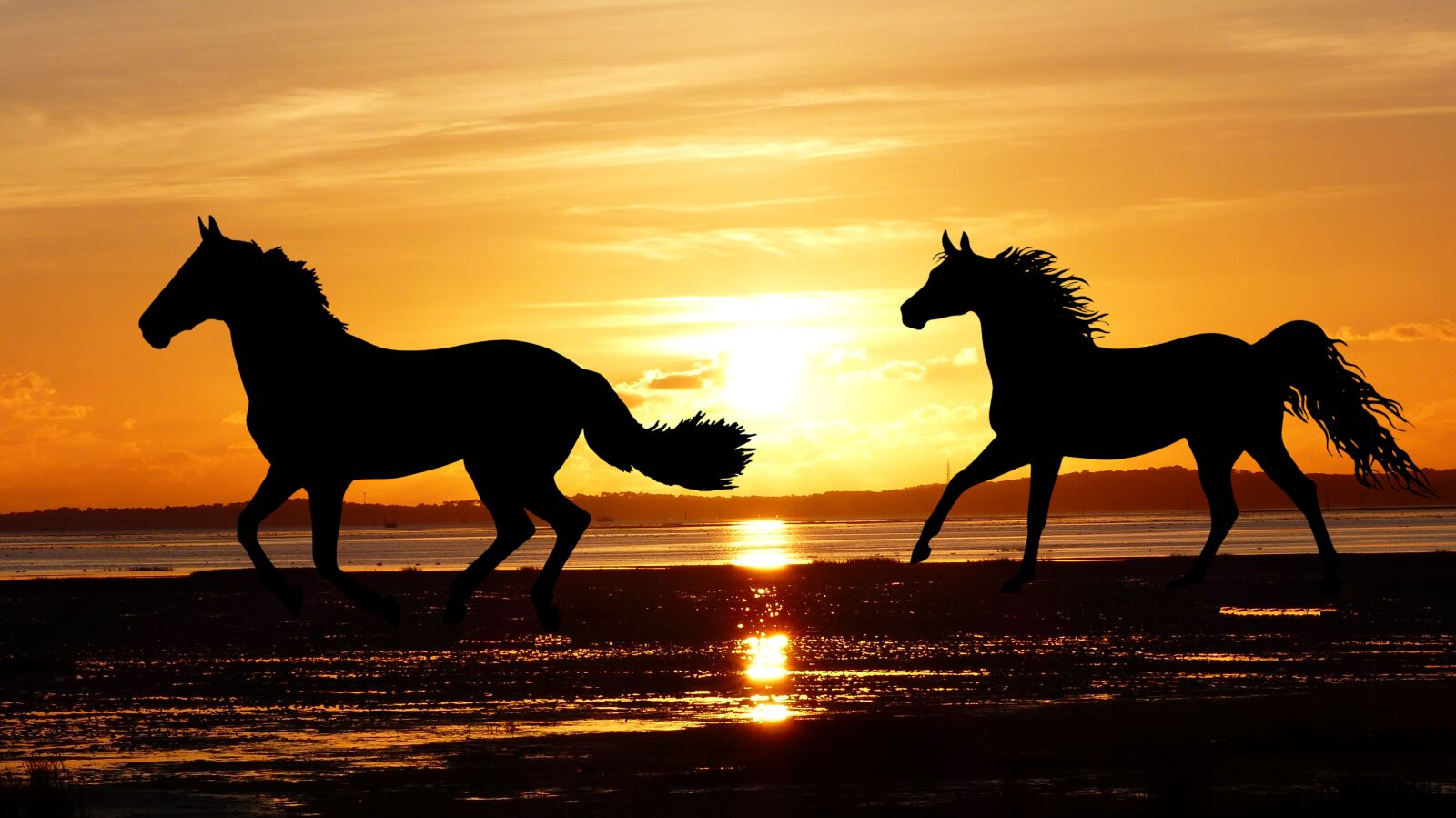 Panasonic Lumix DMC-FZ200 sample photo. Sunset, horses, wild photography