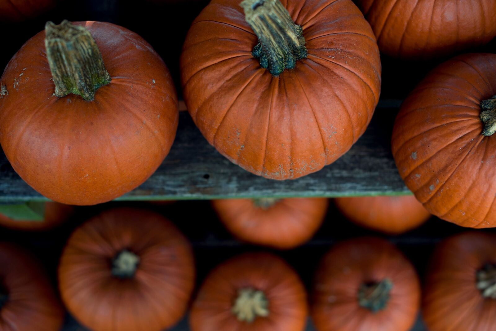 Nikon D810 sample photo. Abundance, agriculture, close-up photography