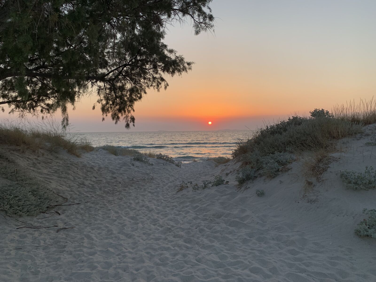 Apple iPhone XR sample photo. Kos, sun, summer photography
